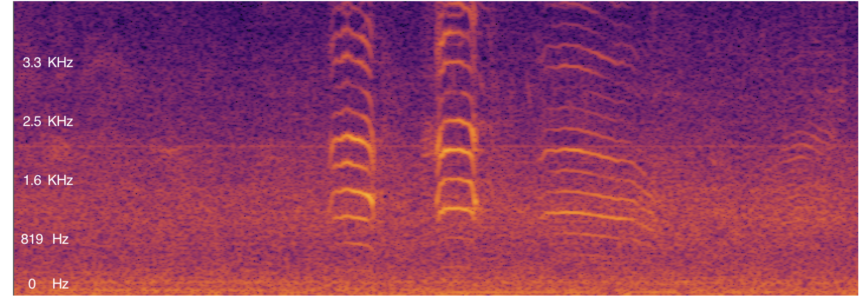 Spectrogram of a seagull: short stacked arcs repeated in bursts, each call a set of curved harmonic lines